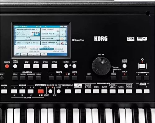купить Цифровое пианино Korg PA 300 в Кишинёве 