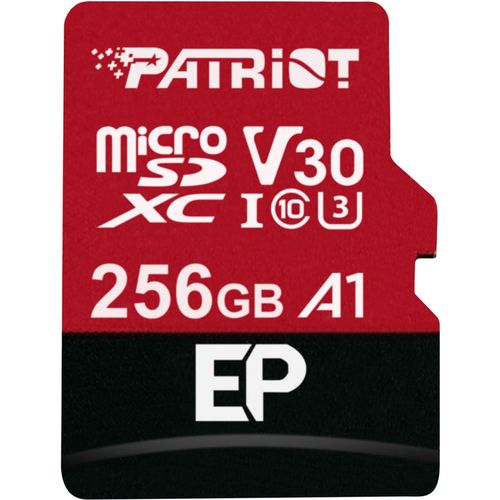 cumpără Card de memorie flash Patriot PEF256GEP31MCX în Chișinău 