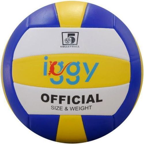 купить Мяч Iggy IGVB-BASIC minge volei в Кишинёве 