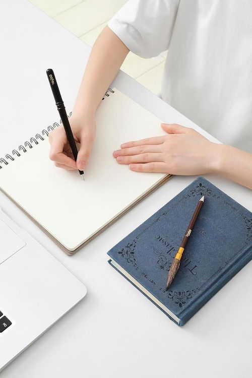 cumpără Instrumente de scris Pyramid International SR72540 Harry Potter (Wand Quidditch Broom) Pen&Pencil Set în Chișinău 