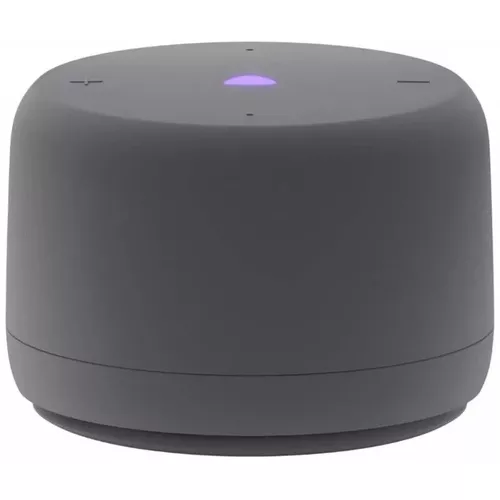 купить Колонка портативная Bluetooth Yandex YNDX-00028GRY Alisa Station Lite 2 Graphit в Кишинёве 