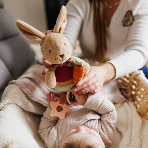 cumpără Jucărie cu pandantiv BabyOno 1685 Jucarie educativa agatata Rabbit Karo în Chișinău 
