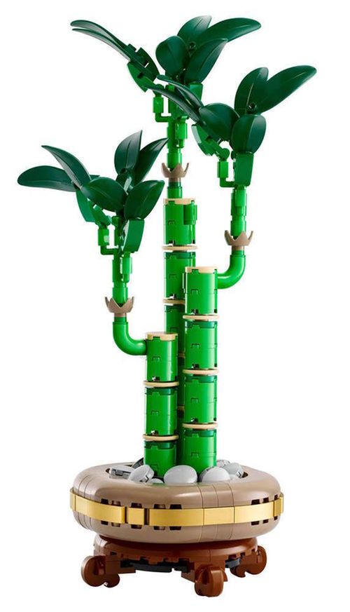 купить Конструктор Lego 10344 Botanical Collection Счастливый бамбук в Кишинёве 
