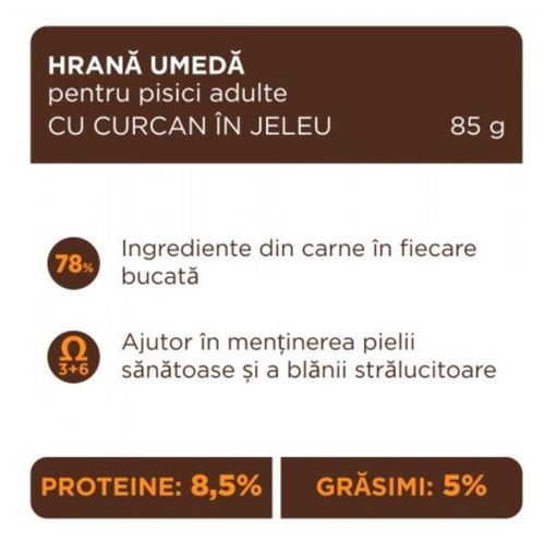 купить Корм для питомцев CLUB 4 PAWS 24230957 Premium Plic pisici curcan jeleu 24x85g в Кишинёве 