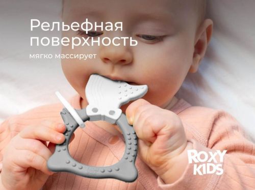 cumpără Iinel dentiție Roxy Kids RBT20032 FOX, серый în Chișinău 