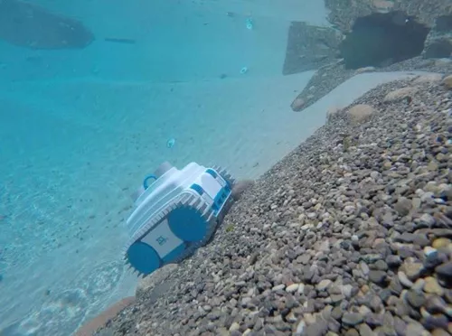 cumpără Aspirator pentru piscină NEMH2O ROBOT CLASSIC 10XS - P în Chișinău 