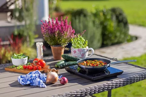 купить Плита индукционная настольная Gorenje ICY2000SP в Кишинёве 