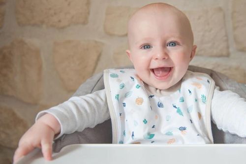 cumpără Bavețică Beaba B913447 Bavetica bebelusi Evolutive în Chișinău 