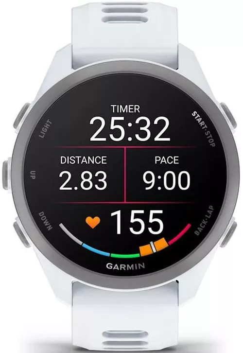 cumpără Ceas inteligent Garmin Forerunner 170, GPS, Whitestone/Cloud Blue, WW (010-03920-01) în Chișinău 