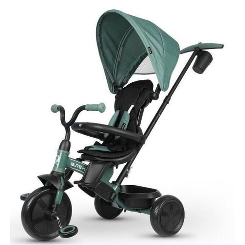 cumpără Bicicletă-cărucior Qplay Elite Platinum Green în Chișinău 