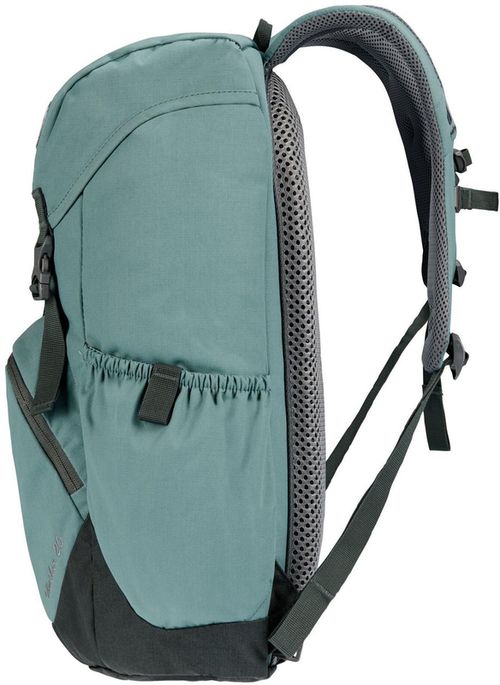 купить Рюкзак спортивный Deuter Walker 20 jade-ivy в Кишинёве 