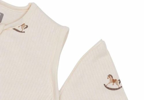 cumpără Haine pentru copii Jollein 016-542-67103 Sac de dormit cu maneci detasabile Nostalgic Ride, 110cm în Chișinău 