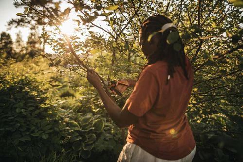 купить Ножницы садовые Fiskars PowerGearX Pruner P961 PX94 (1057175) в Кишинёве 