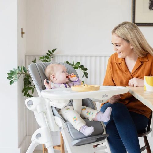 купить Стульчик для кормления Joie H1013EBARC000 Scaun de masa Mimzy Recline Arctic в Кишинёве 
