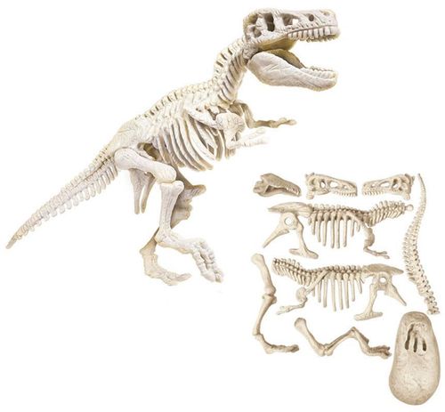 cumpără Jucărie As Kids 1026-50741 Descopera Dinozaurul T-Rex în Chișinău 