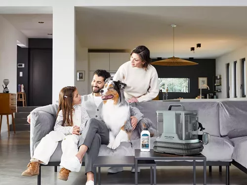 cumpără Aspirator cu spălare Rowenta IN3020F0 în Chișinău 