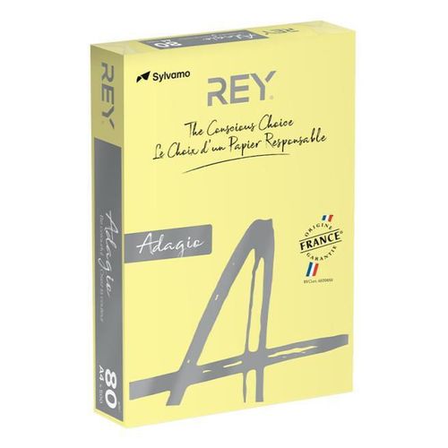 купить Бумага офисная Rey Hartie colorata A4 Adagio 80g/500 foi, Canary 49 (RYADA080X423) в Кишинёве 