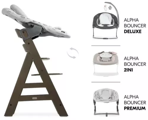 cumpără Scaun de masă Hauck Alpha Select Charcoal în Chișinău 