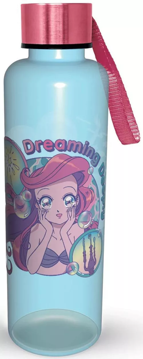 купить Бутылочка для воды Pyramid International PDB27968 Disney Princess Manga в Кишинёве 