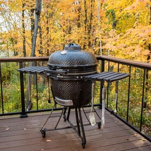 купить Мангал Pit Boss Gratar Kamado PBK24 negru (10603) в Кишинёве 