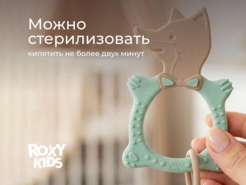 cumpără Iinel dentiție Roxy Kids RBT20033 FOX, оливковый în Chișinău 