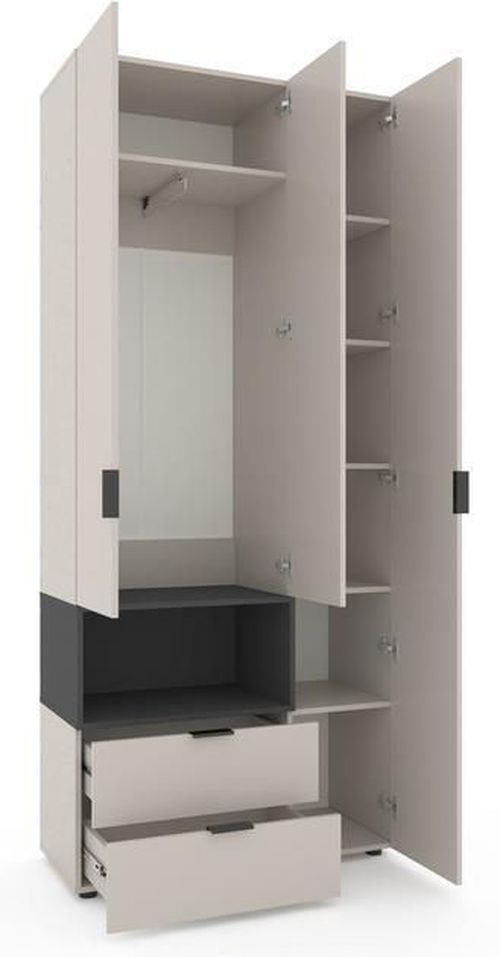 cumpără Dulap Nex Home A002L cu usi batante, 1000x420x2300mm, Anthracite/Cashmere în Chișinău 