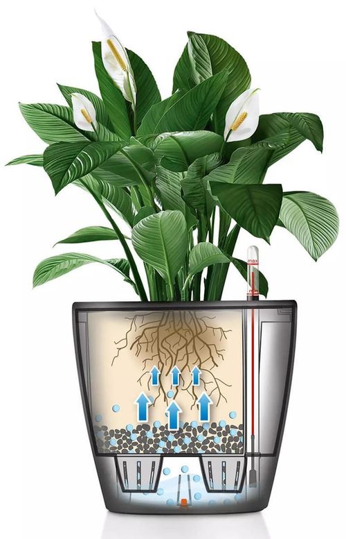 cumpără Ghiveci pentru flori Lechuza Classico Premium 50 LS, Charcoal în Chișinău 