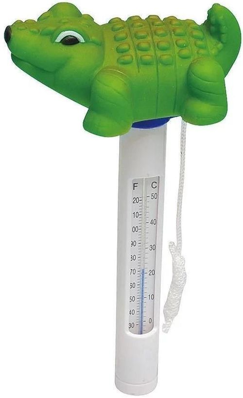 cumpără Accesoriu pentru piscină Avenli Termometru 290475 în Chișinău 