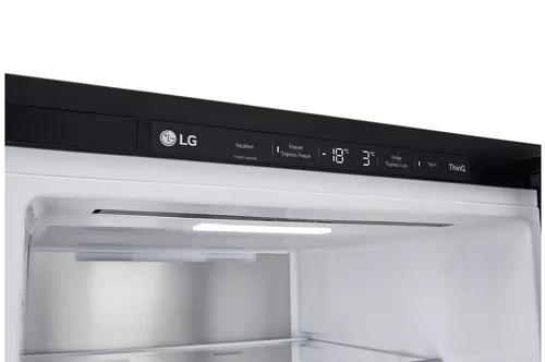 cumpără Frigider cu congelator jos LG GBG5160CEV InstaView în Chișinău 