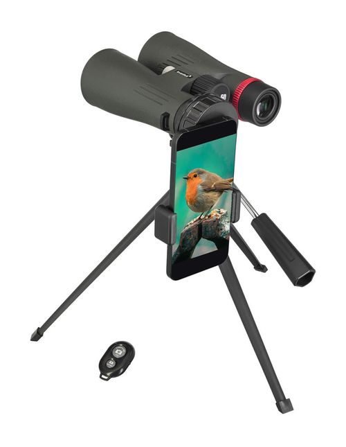 cumpără Binoclu Levenhuk Kelvin Snap 10x50 Photobinoculars în Chișinău 