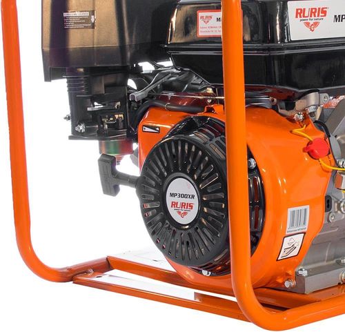 купить Насос Ruris MP300XR в Кишинёве 