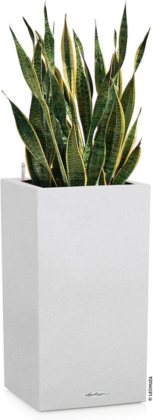 купить Цветочный горшок Lechuza Canto Stone 30 High, Quartz White в Кишинёве 