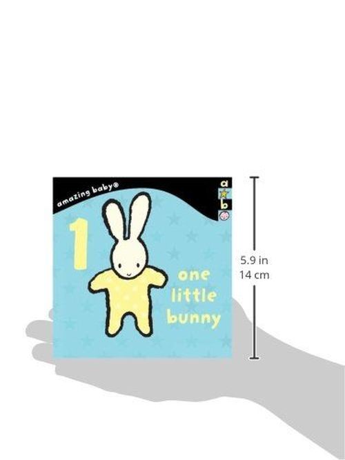 cumpără 1 Little Bunny în Chișinău 