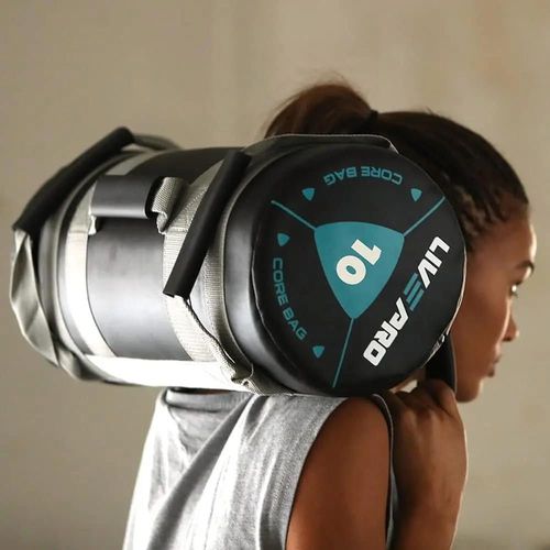 купить Спортивное оборудование LivePro 49919 Fitness Power Bag 20kg, LP8120/20/BK в Кишинёве 