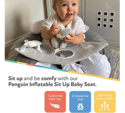 купить Гнездо для новорожденных Nuby ID99614 Подушка для игр Penguin Inflatable Sit Up Baby Seat 6m+ в Кишинёве 