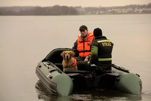 cumpără Accesoriu pentru înot Aquarius Vesta de salvare 100N XL în Chișinău 