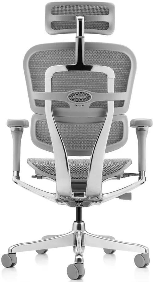 купить Офисное кресло ART Ergohuman Luxury 2 Natural T-168-B2 EHL2-AG-HAM-5D-D в Кишинёве 