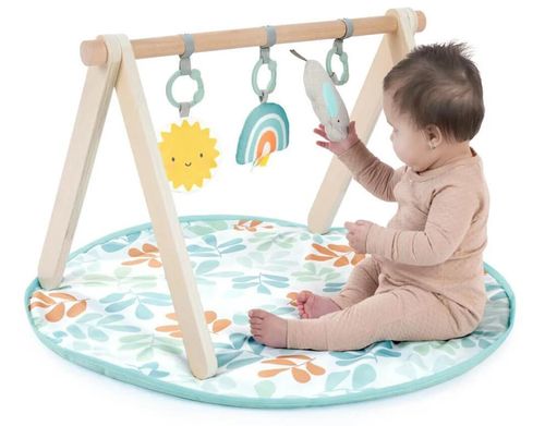 cumpără Covoraș de joacă Bright Starts 13122 Ingenuity Ity Sun Valley (cu bara de jucarii) în Chișinău 