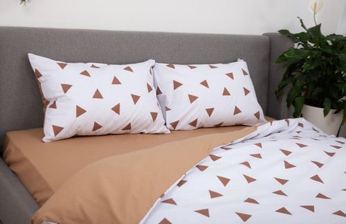 cumpără Textile de casă Relaxe Home 019321 Lenjerie de pat Soft Dreams (200x220 Euro) Triang Cappuccino în Chișinău 