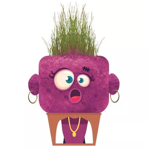 купить Набор для творчества Hape 848101 Experiment științific Sandra uimită в Кишинёве 