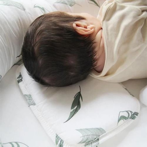 cumpără Cocon pentru bebelusi BabyJem 419 Saltea reductor BabyNest Between parents Botanic Leaves în Chișinău 