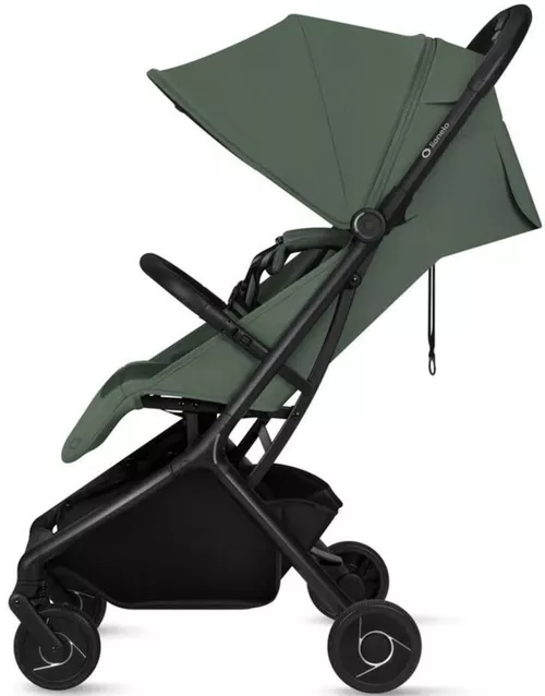 cumpără Сărucior pentru copii Lionelo Sia Flex Green Emerald 2in1 în Chișinău 