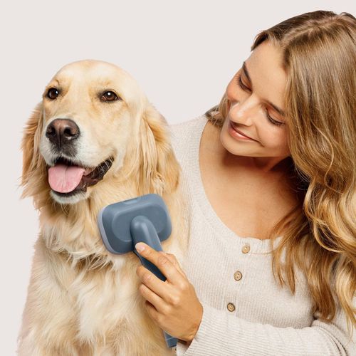 купить Товар для груминга Ufesa Pet grooming & vacuum PetBuddy Groom в Кишинёве 