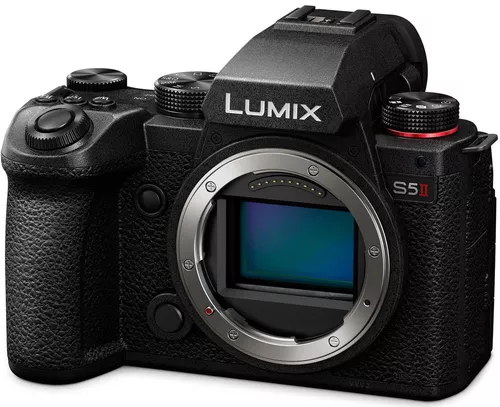 cumpără Aparat foto mirrorless Panasonic DC-S5M2EE în Chișinău 