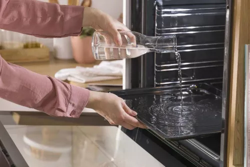 cumpără Cuptor electric încorporabil Gorenje BO6737E02X în Chișinău 