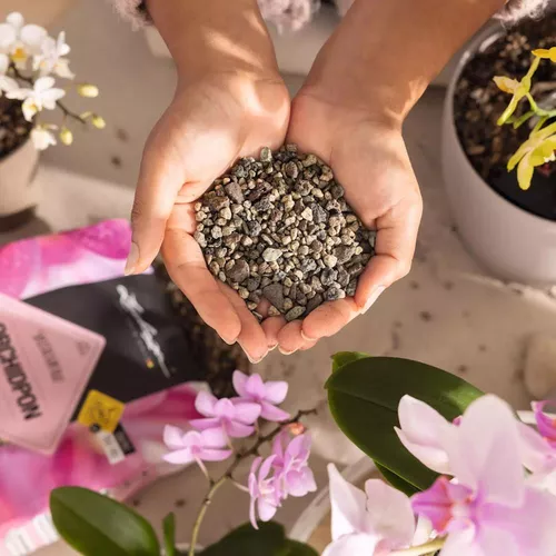 cumpără Substrat pentru plante Lechuza Orchidpon, 6l în Chișinău 