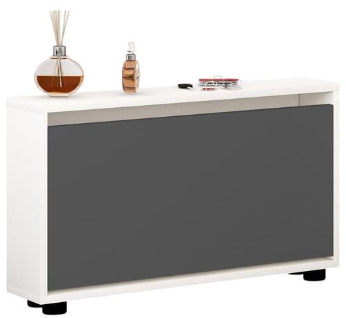 купить Полка для обуви Mobildor-Lux Leo Slim 50x16x47H cm White/Anthracite в Кишинёве 