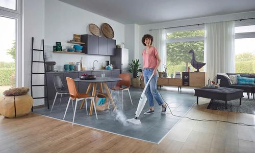 купить Паровая швабра LEIFHEIT 11940/03 Mop cu abur Clean Tenso в Кишинёве 