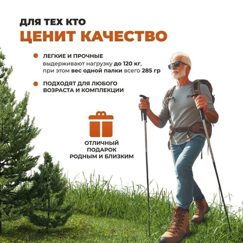 cumpără Bețe pentru trekking miscellaneous Team Jaunty 6-3JNS Black în Chișinău 