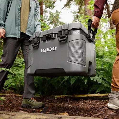 купить Холодильник портативный Dometic Coolbox TRAILMATE 50 Carbonite 47L (97000050998) в Кишинёве 